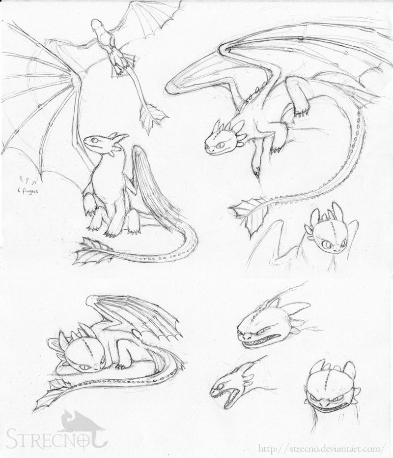 800x931 Animation Sketch Illustration Toothless - Google Sketch Animation