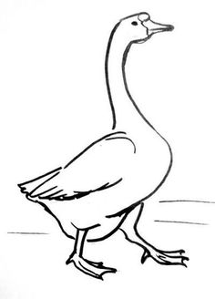 236x328 Learn How To Draw A Canada Goose (Birds) Step By Step Drawing - Goose Sketch