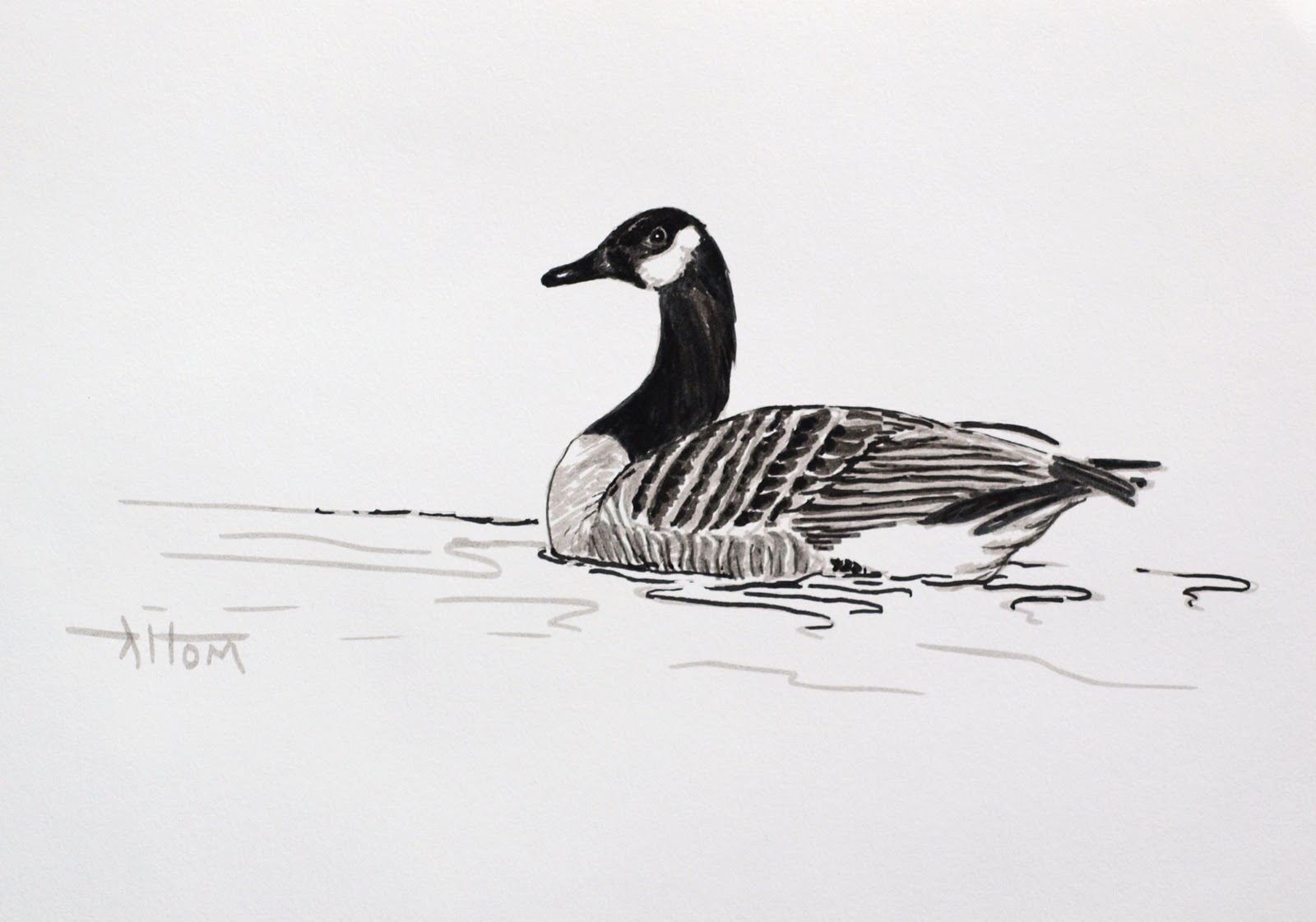 1600x1121 Artiqueryrose Canadian Goose Brush Pen Sketch - Goose Sketch