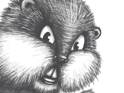 400x300 Gopher Sketch By Alex Rinker - Gopher Sketch