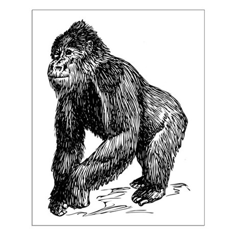 460x460 Gorilla Sketch Poster Design By Animalsandwildlifegifts2 - Gorilla Sketch