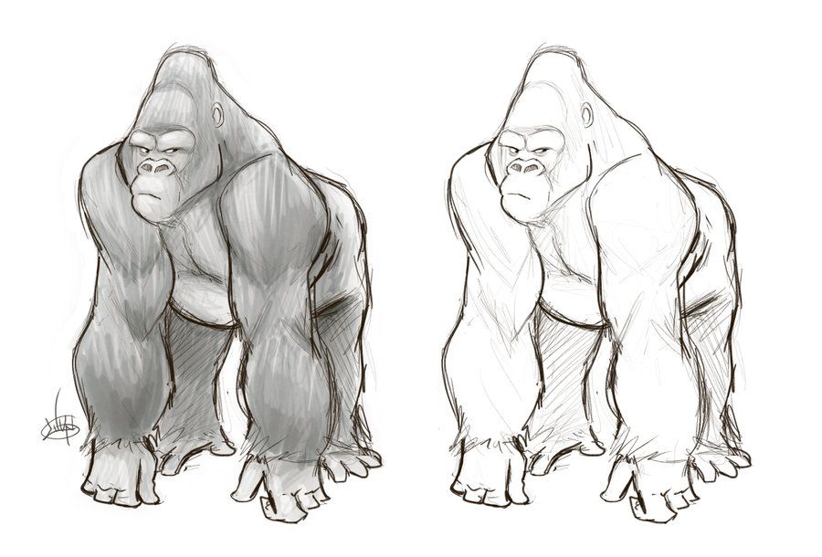 900x610 Gorilla Sketch By Luigil Em Drawings, Sketches And Art - Gorilla Sketch
