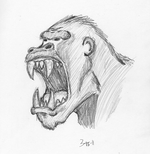 484x496 Gorilla Sketch By Curtisman - Gorilla Sketch