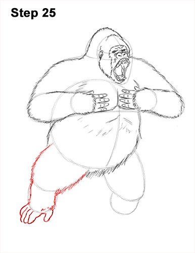 386x500 How To Draw A Gorilla (Agressive Stance) - Gorilla Sketch