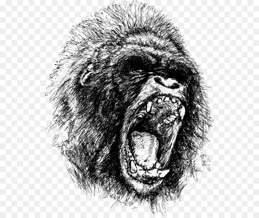 900x760 Gorilla Ape King Kong Drawing Anger - Gorilla Sketch