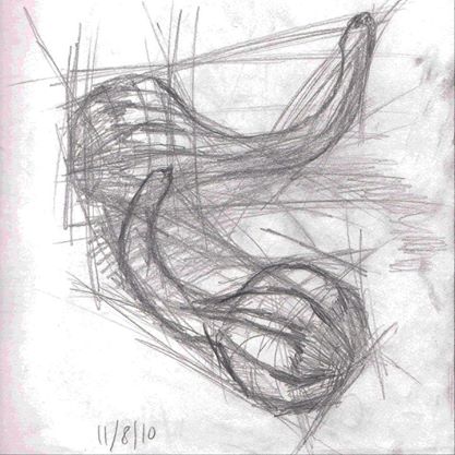 417x417 Gourd Sketch - Gourd Sketch