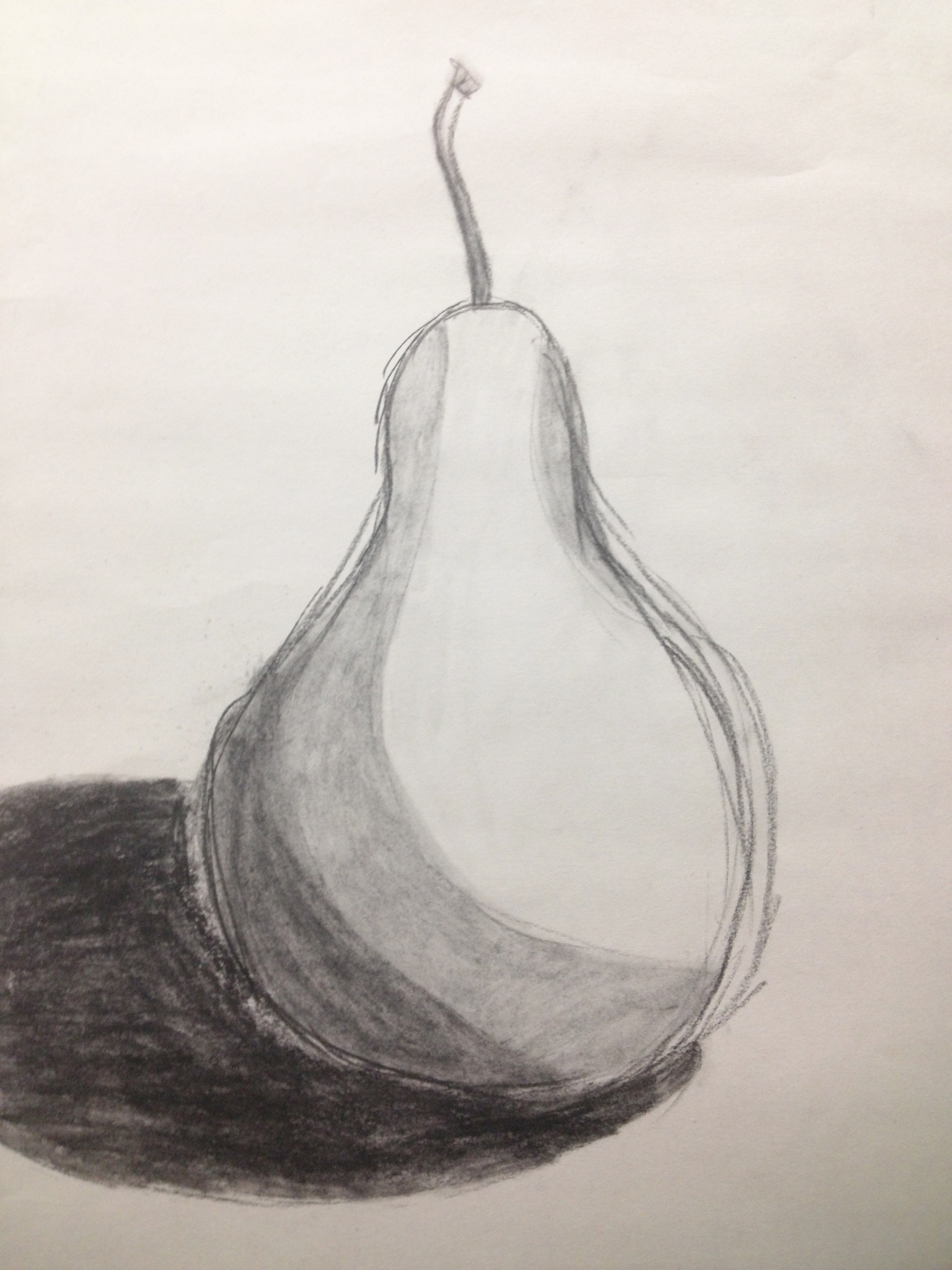1536x2048 Gourd Sketch Lexi Wilson - Gourd Sketch