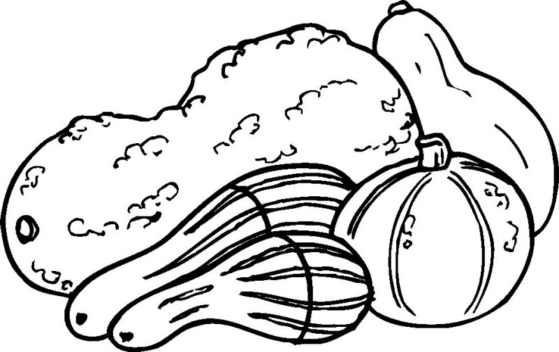 800x504 Gourd Clipart Black And White - Gourd Sketch