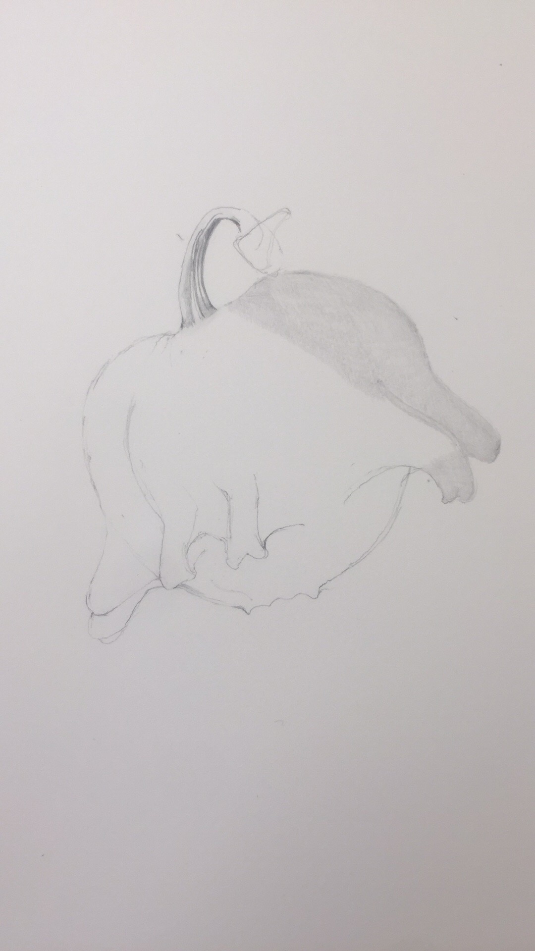 1080x1920 Gourd Drawing On Behance - Gourd Sketch