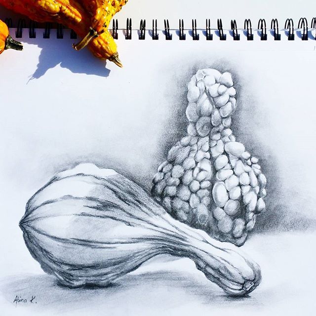 640x640 Gourds Have Very Unique Shapes And Payterns. They Are Perfect - Gourd Sketch