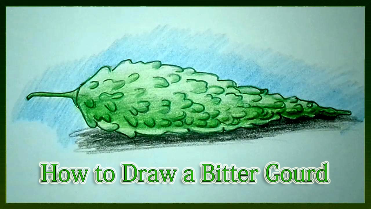 1280x720 How To Draw A Bitter Gourd Step By Step - Gourd Sketch
