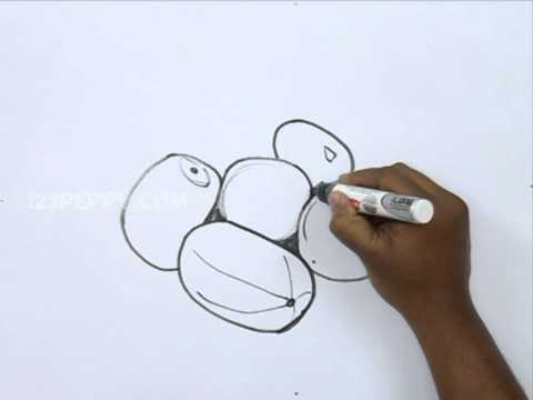 480x360 How To Draw An Ash Gourd - Gourd Sketch