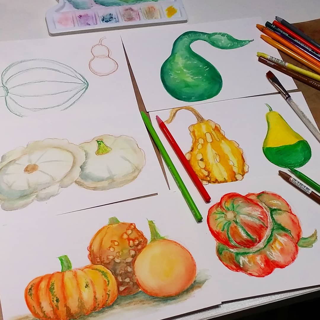 1080x1080 Learn To Sketch Pumpkins, Gourds And Squash! The Frugal Crafter Blog - Gourd Sketch