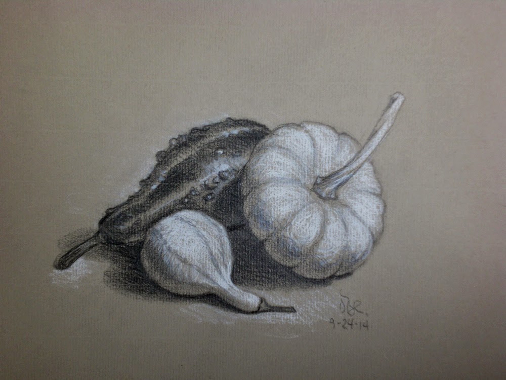 1000x750 My Drawing Journal Another Gourd Drawing - Gourd Sketch