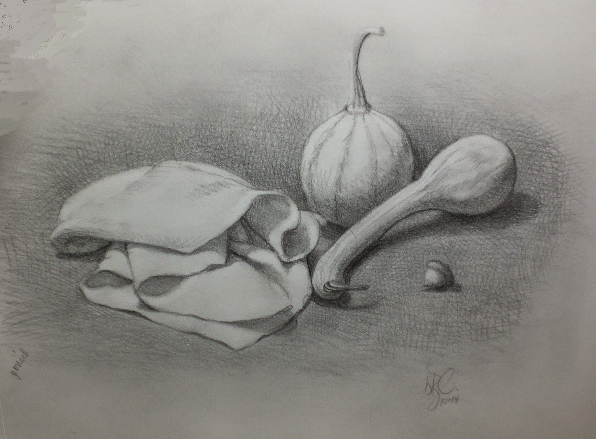 1200x884 My Drawing Journal Gourds Drawing - Gourd Sketch