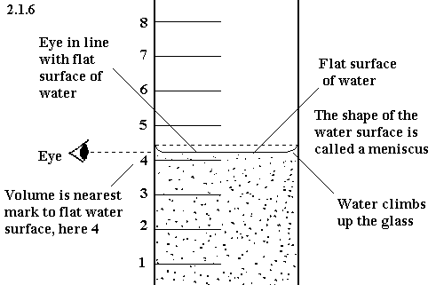 491x321 7th Grade Science - Graduated Cylinder Sketch