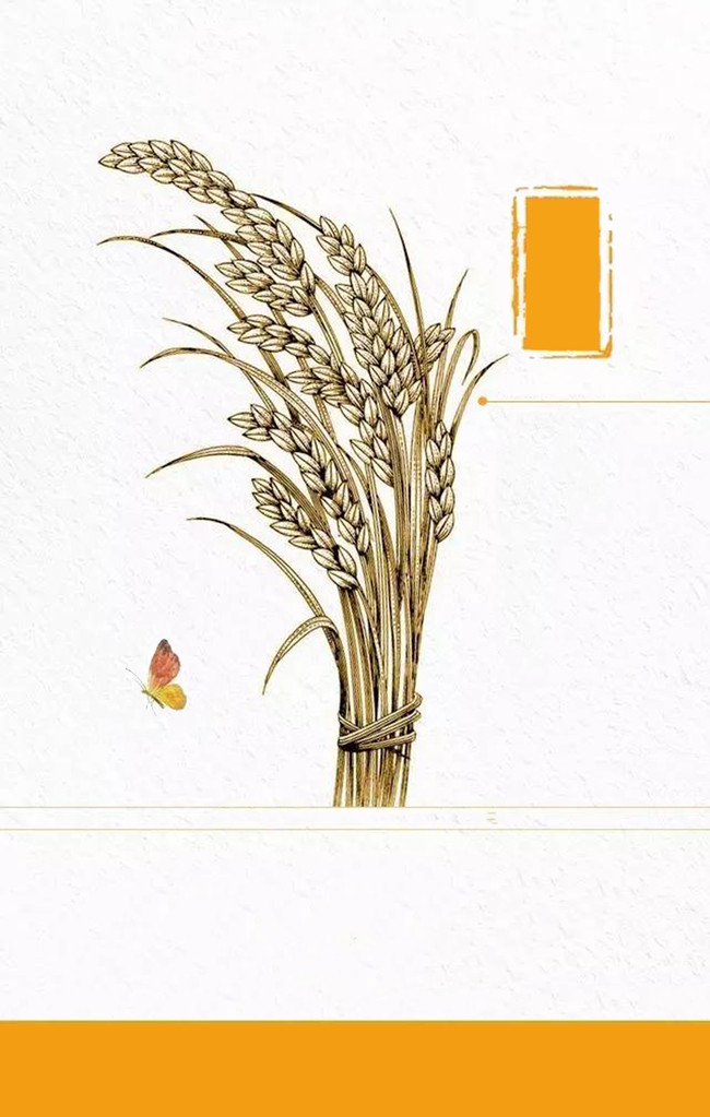 650x1023 Sketch Drawing Representation Wheat Background, Cereal - Grain Sketch