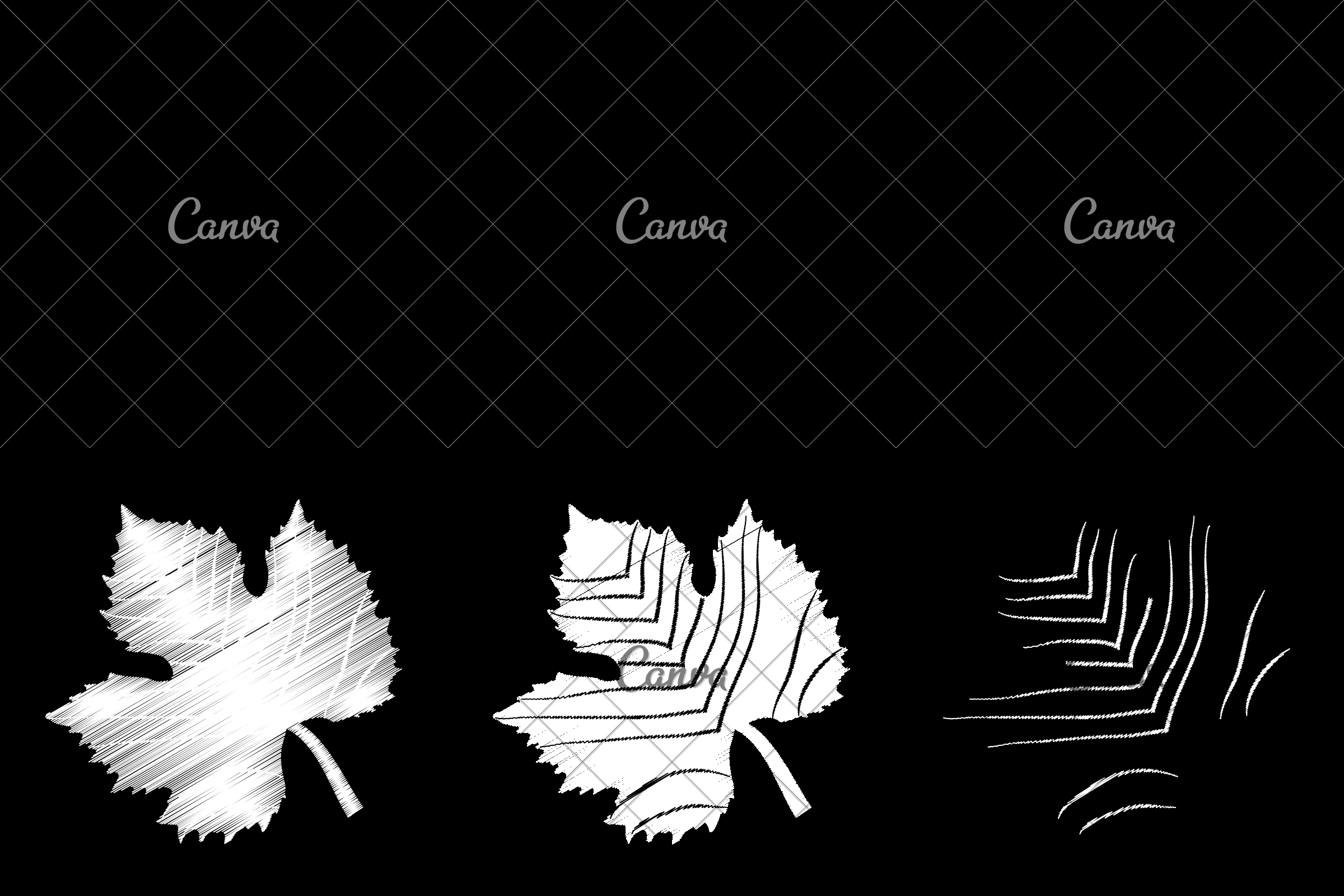 2400x1600 Grape Leaf Sketch - Grape Leaf Sketch