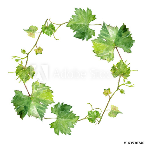 500x500 Wreath Of Grape Leaves, Watercolor Sketch - Grape Leaf Sketch