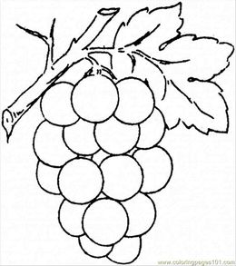 260x293 Download Grapes Sketch Clipart Common Grape Vine Clip Art - Grape Vine Sketch
