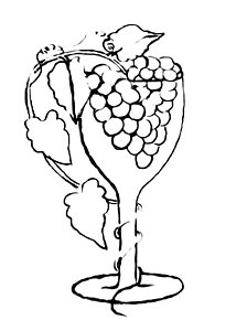 214x300 Grape Vine Drawings - Grape Vine Sketch