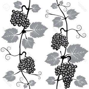 300x300 Grape Vine Vintage Sketch Icons For Wine Vector Sohadacouri - Grape Vine Sketch