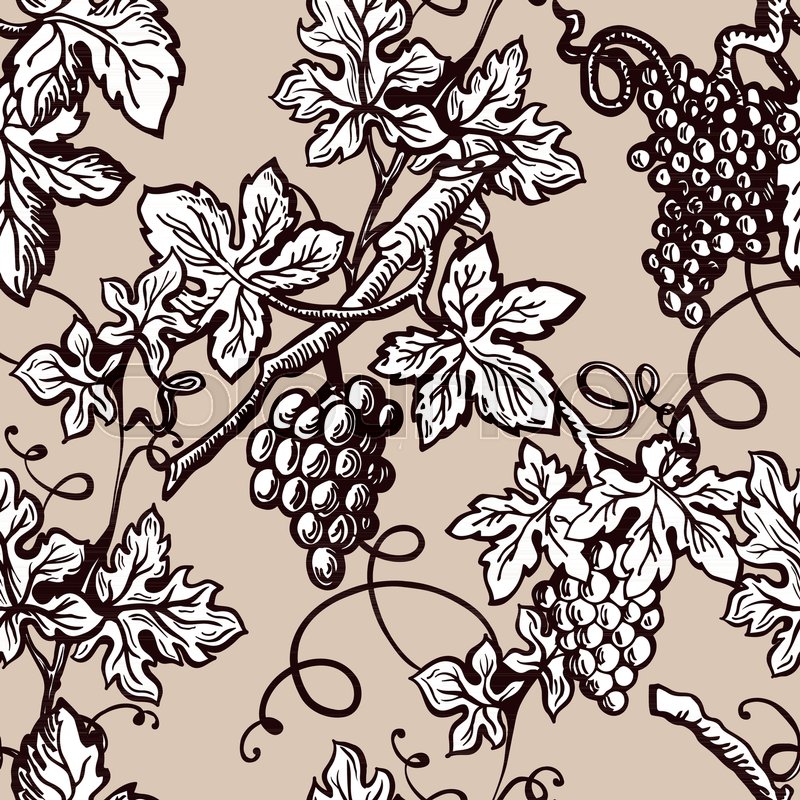 800x800 Grape Vine Vintage Pattern Background. Vector Seamless Sketch - Grape Vine Sketch