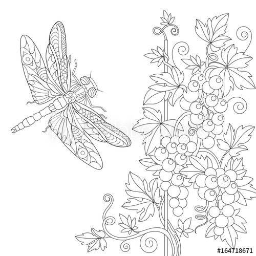 500x500 Coloring - Grape Vine Sketch