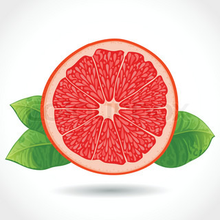 320x320 Grapefruit Sketch With Whole Fruit And Juicy Slice Of Tropical - Grapefruit Sketch