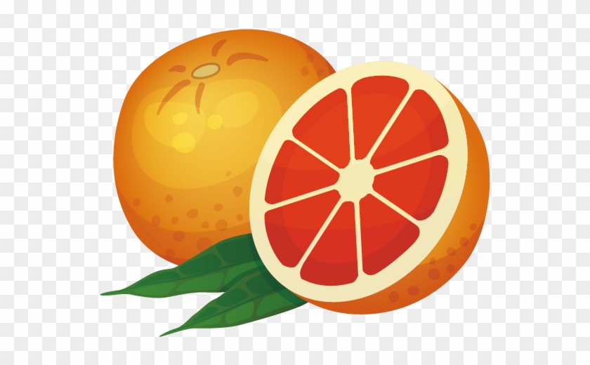 840x520 Orange Icon - Grapefruit Sketch