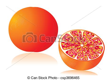 450x338 Grapefruit Clipart Blood 3577558 - Grapefruit Sketch