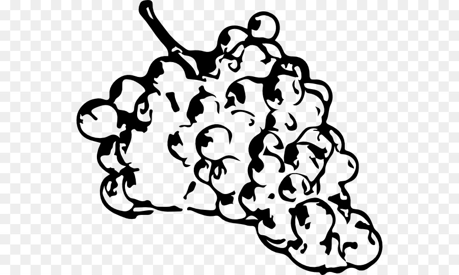 900x540 Download Grapes Sketch Transparent Clipart Common Grape Vine Wine - Grapes Sketch