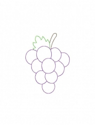 191x250 Grapes Color Work Embroidery Design - Grapes Sketch