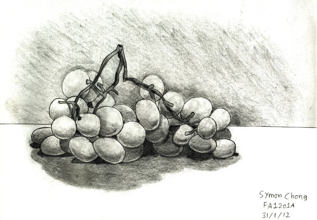1024x713 Grapes Sketch By Simonarty - Grapes Sketch