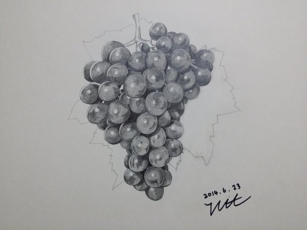 600x450 Grapes Sketch By Strong Light - Grapes Sketch