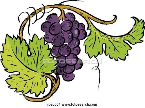 500x371 Grapes And Vines Drawings Grape Vine Art Drawings - Grapes Sketch