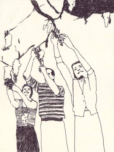 375x498 Picking Grapes Drawing By Marie Gardeski Saatchi Art - Grapes Sketch