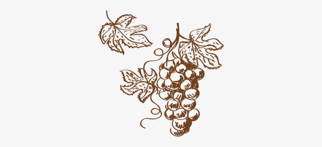 650x298 Vector Sketch Of Grapes, Sketch Vector, Vector, Sketch Png And - Grapes Sketch