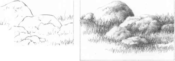 598x209 Grass Around Buildings - Grass Sketch