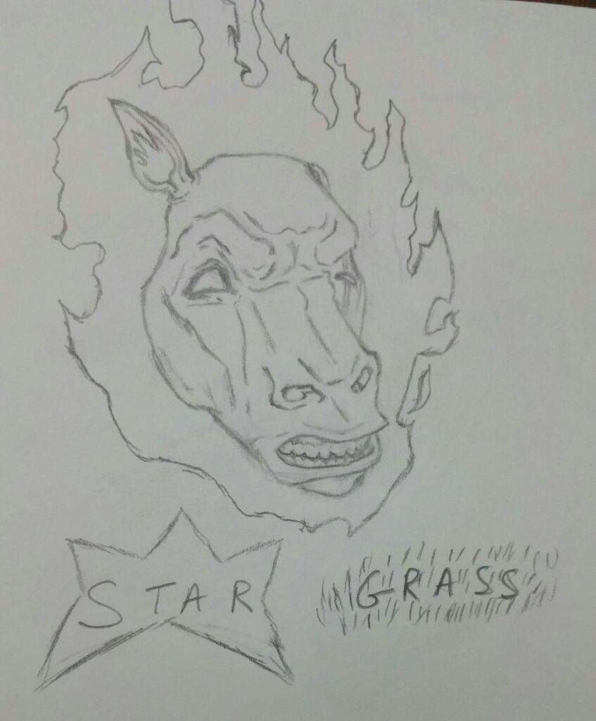 847x1024 Star Grass - Grass Sketch