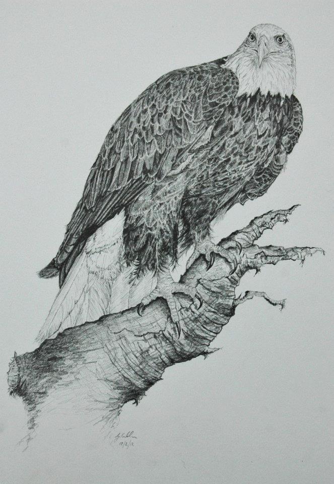 663x960 Sketches - Gray Sketch