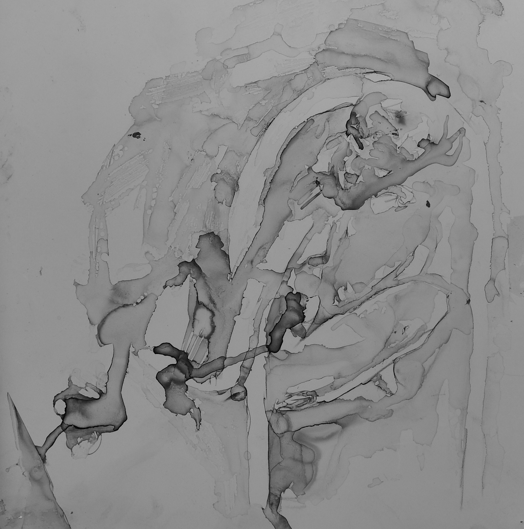 1731x1748 Wet Sketch - Gray Sketch