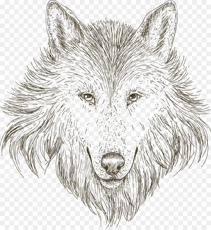 900x980 Gray Wolf Drawing Sketch - Gray Wolf Sketch