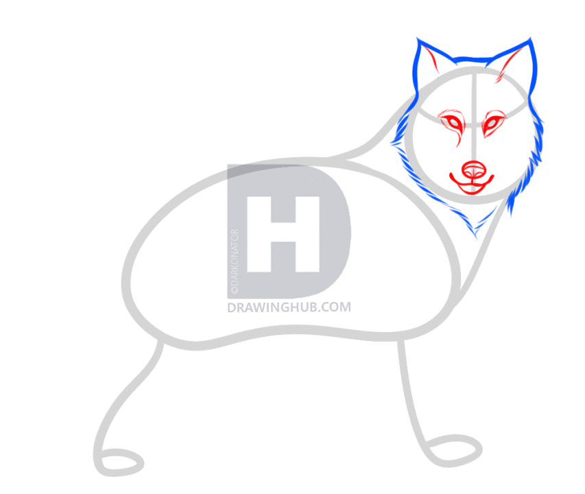 853x720 How To Draw A Gray Wolf, Timber Wolf, Step By Step, Drawing Guide - Gray Wolf Sketch