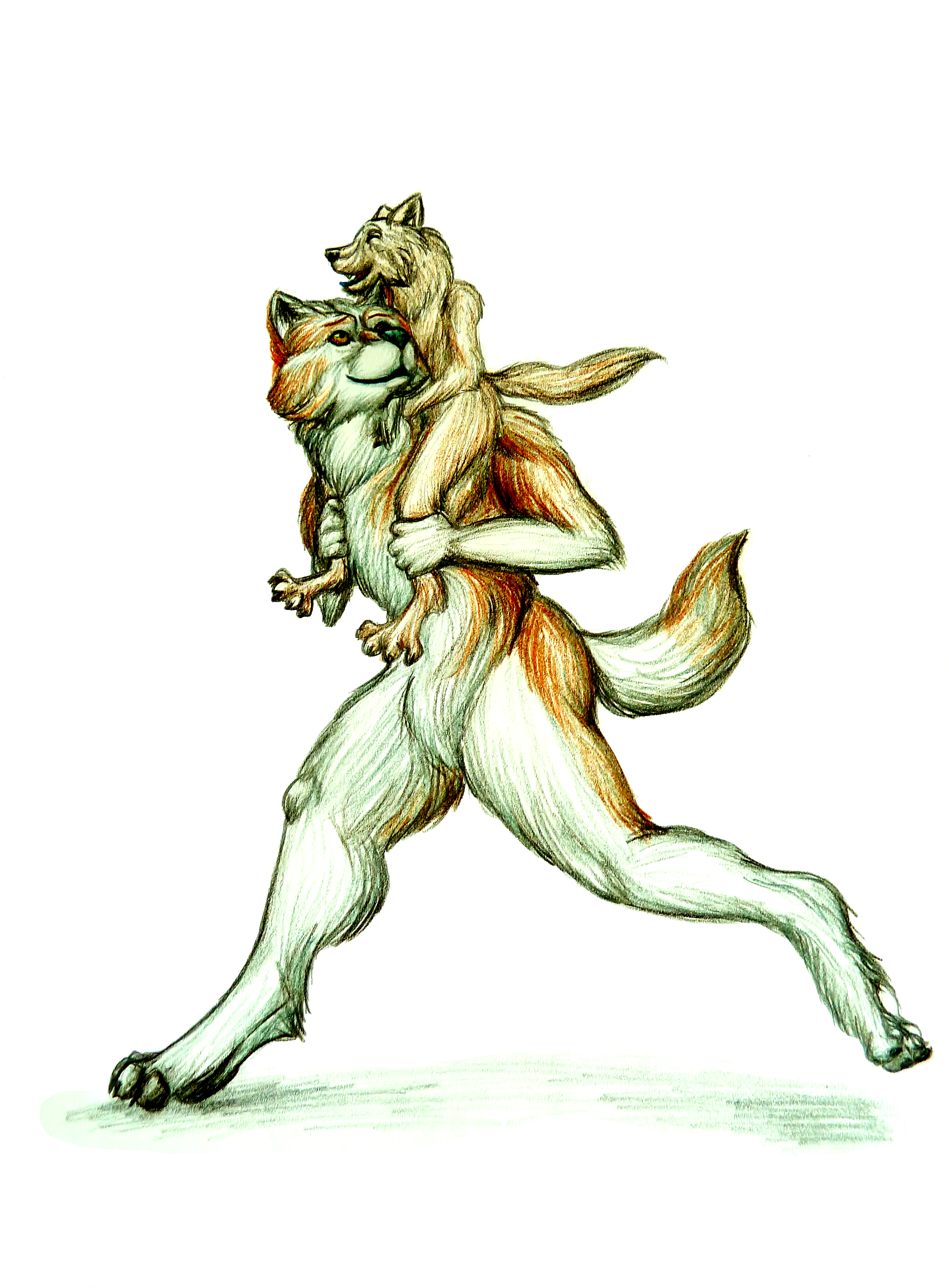 2828x3838 Colored Sketch Father Gray Wolf Weasyl - Gray Wolf Sketch