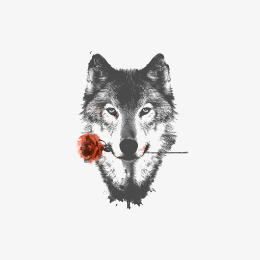 510x510 Sketch Gray Wolf, Wolf Clipart, Wolf, Wolf Avatar Png Image And - Gray Wolf Sketch