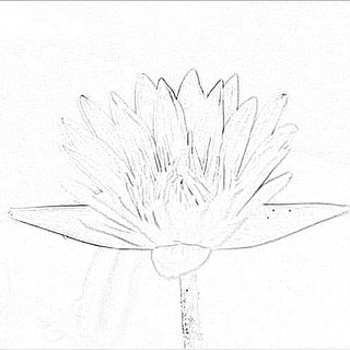 320x320 Left Sketch Image. Middle Grayscale Image. Right Color Image - Grayscale Sketch