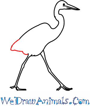 300x350 How To Draw A Great Blue Heron - Great Blue Heron Sketch