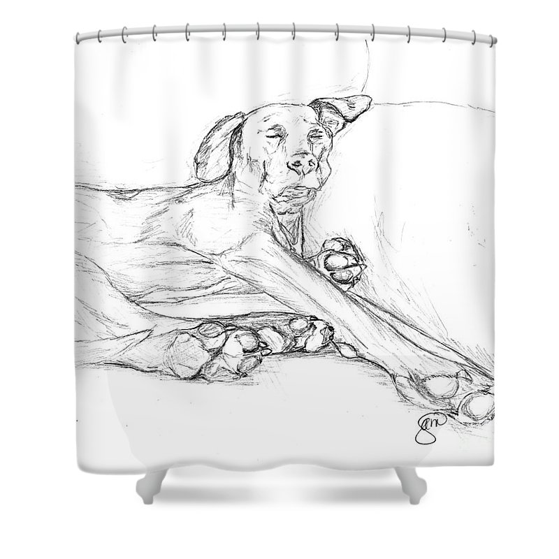 800x800 Great Dane Dog Sketch Bella Shower Curtain For Sale By Stacey May - Great Dane Sketch