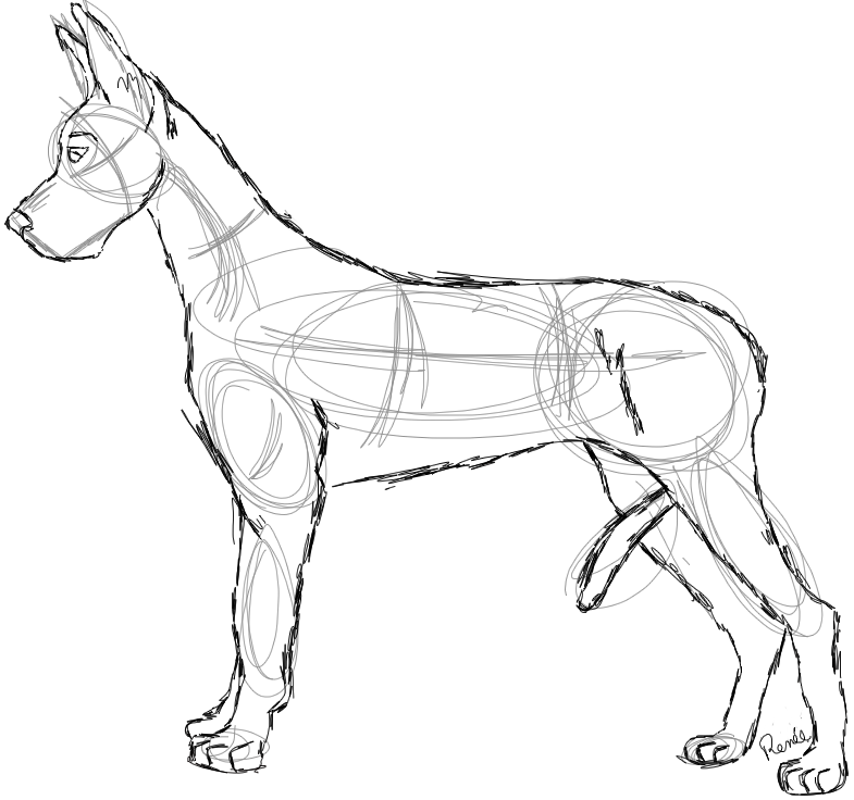 785x736 Dane Sketch - Great Dane Sketch